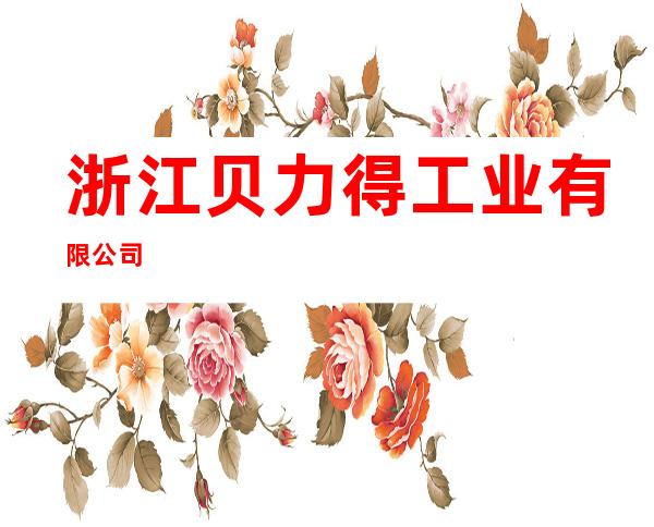 浙江贝力得工业有限公司